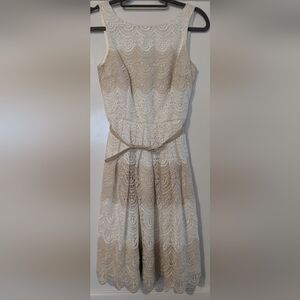 White House Black Market Elegant Lace Dress with Belt